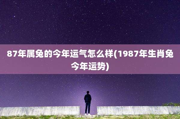 87年属兔的今年运气怎么样(1987年生肖兔今年运势)