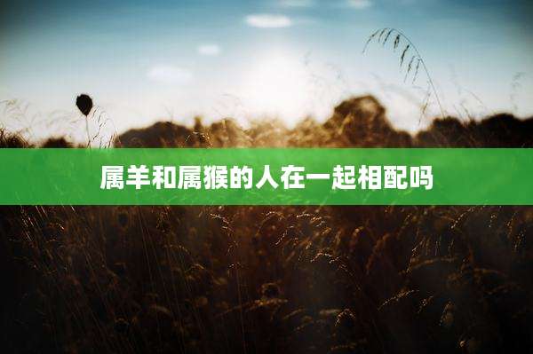 属羊和属猴的人在一起相配吗