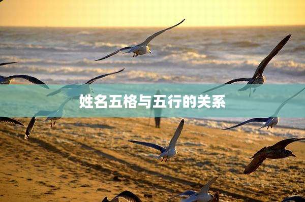 姓名五格与五行的关系