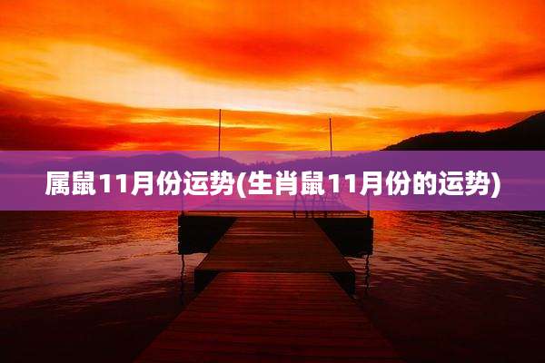 属鼠11月份运势(生肖鼠11月份的运势)