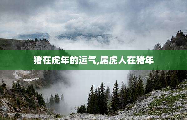 猪在虎年的运气,属虎人在猪年
