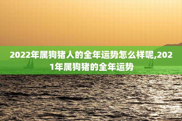 2022年属狗猪人的全年运势怎么样呢,2021年属狗猪的全年运势