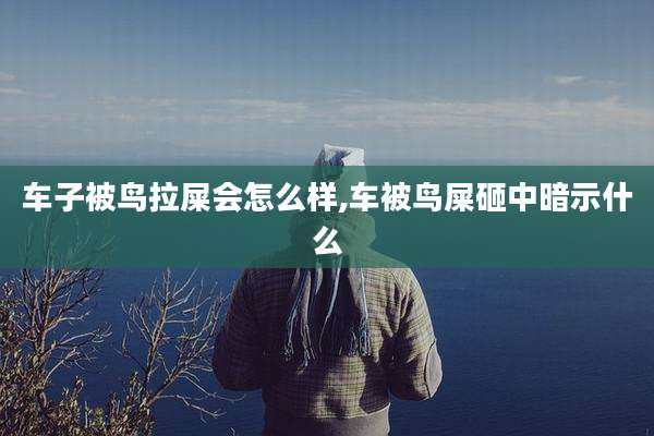 车子被鸟拉屎会怎么样,车被鸟屎砸中暗示什么