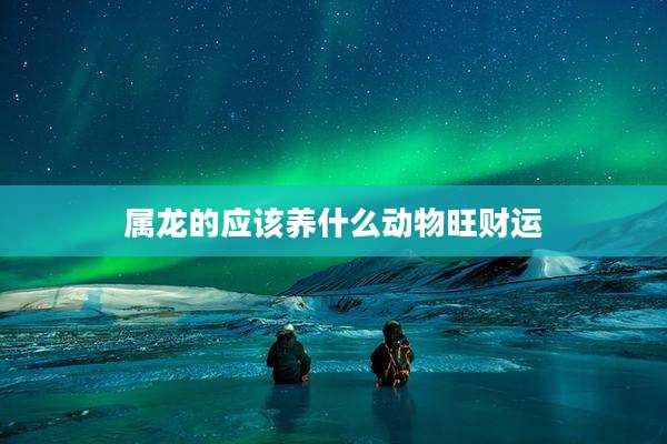 属龙的应该养什么动物旺财运