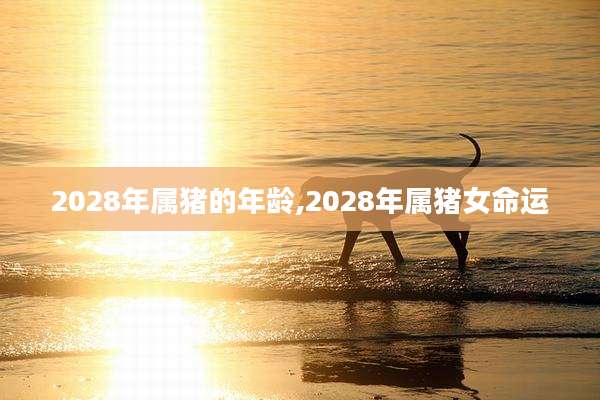 2028年属猪的年龄,2028年属猪女命运