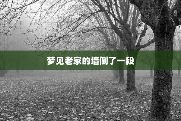 梦见老家的墙倒了一段