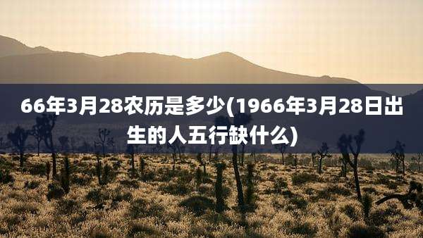 66年3月28农历是多少(1966年3月28日出生的人五行缺什么)