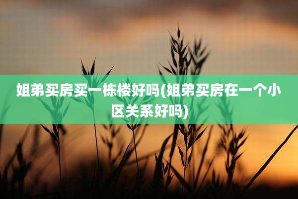 姐弟买房买一栋楼好吗(姐弟买房在一个小区关系好吗)