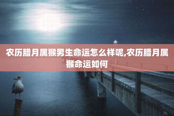 农历腊月属猴男生命运怎么样呢,农历腊月属猴命运如何