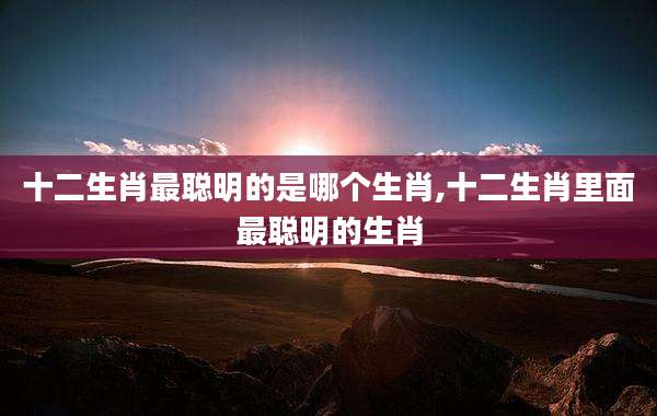 十二生肖最聪明的是哪个生肖,十二生肖里面最聪明的生肖
