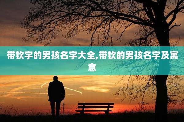 带钦字的男孩名字大全,带钦的男孩名字及寓意
