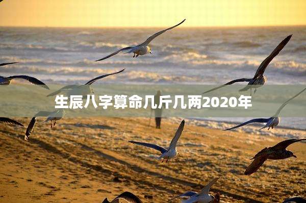 生辰八字算命几斤几两2020年