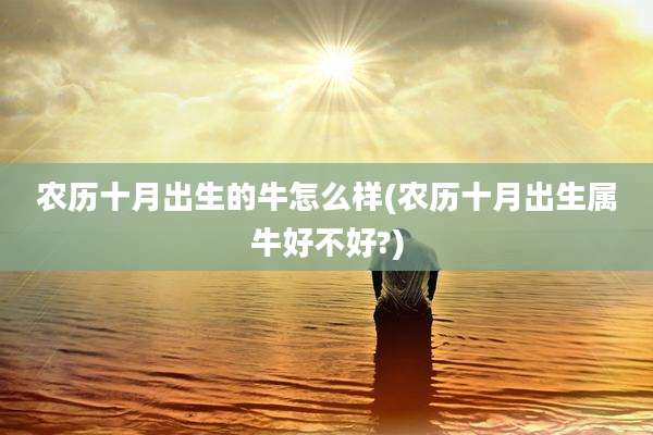 农历十月出生的牛怎么样(农历十月出生属牛好不好?)