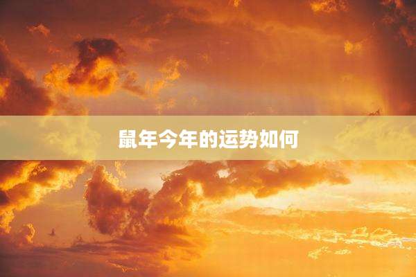 鼠年今年的运势如何