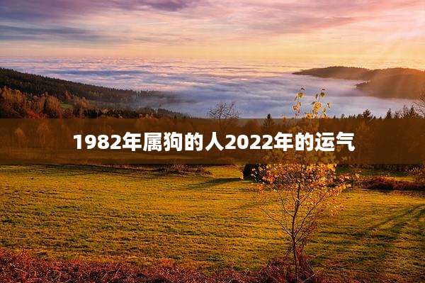 1982年属狗的人2022年的运气