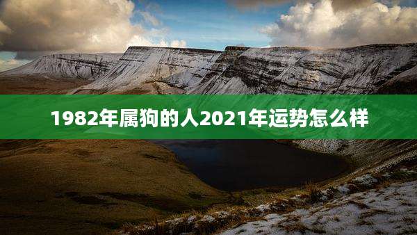 1982年属狗的人2021年运势怎么样