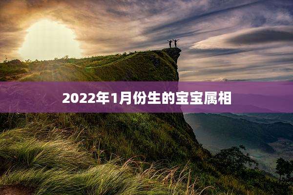 2022年1月份生的宝宝属相