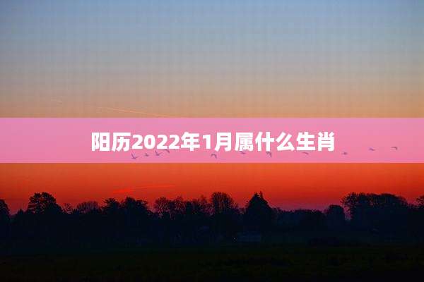 阳历2022年1月属什么生肖