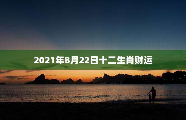 2021年8月22日十二生肖财运
