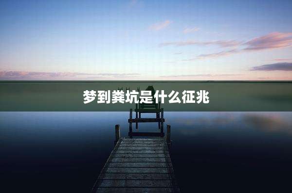 梦到粪坑是什么征兆