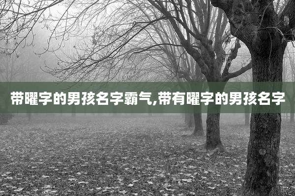 带曜字的男孩名字霸气,带有曜字的男孩名字