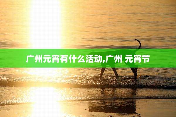 广州元宵有什么活动,广州 元宵节
