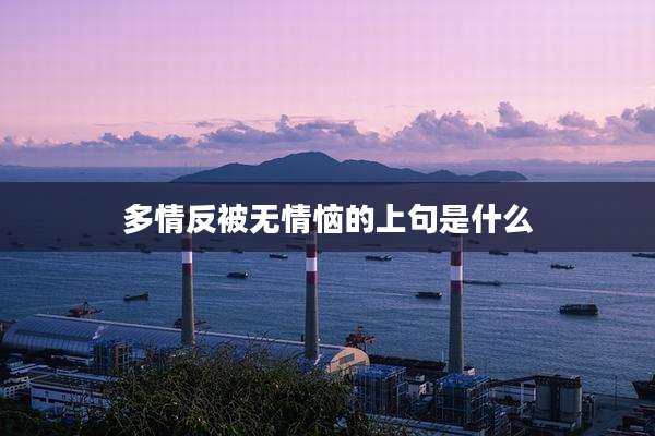多情反被无情恼的上句是什么