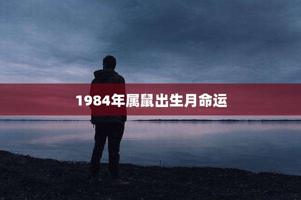 1984年属鼠出生月命运