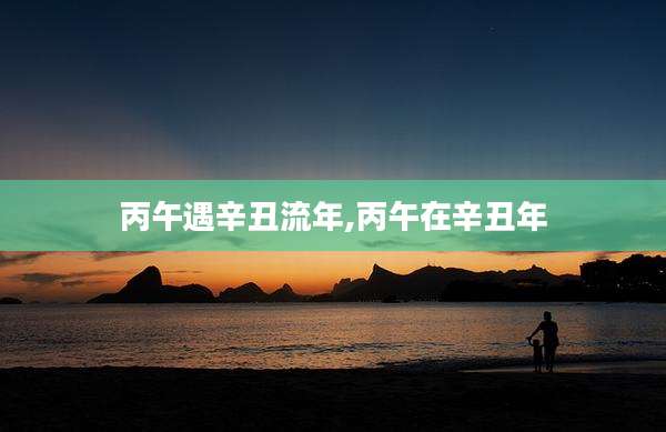 丙午遇辛丑流年,丙午在辛丑年