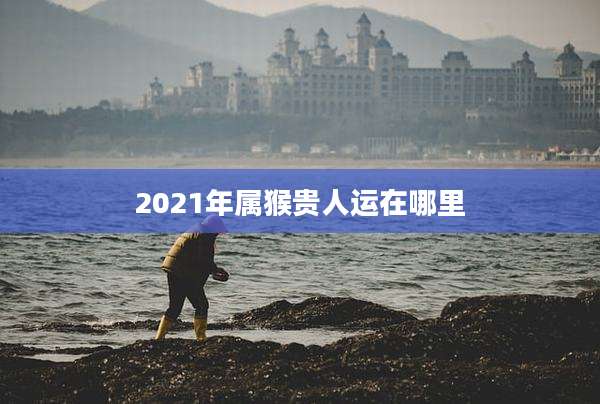 2021年属猴贵人运在哪里