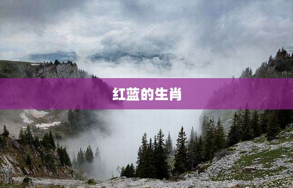 红蓝的生肖