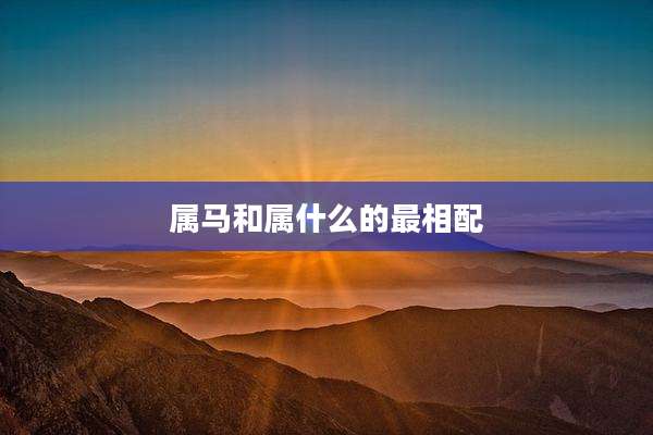 属马和属什么的最相配