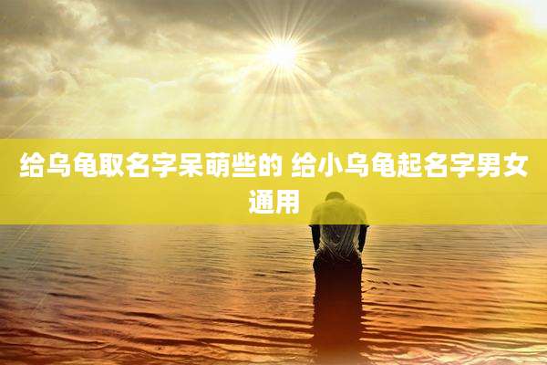 给乌龟取名字呆萌些的 给小乌龟起名字男女通用