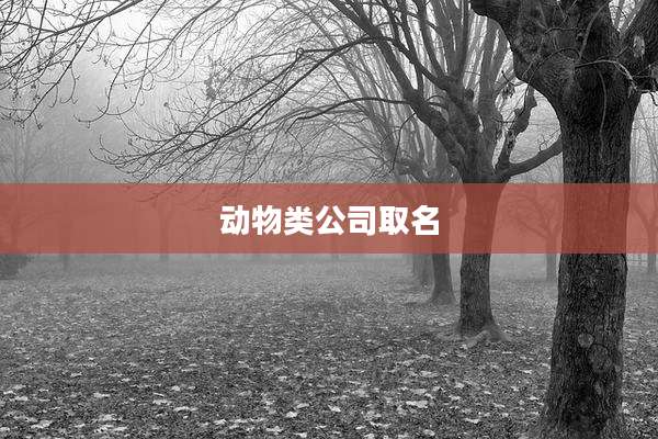 动物类公司取名