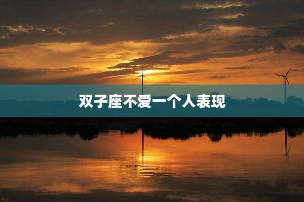 双子座不爱一个人表现