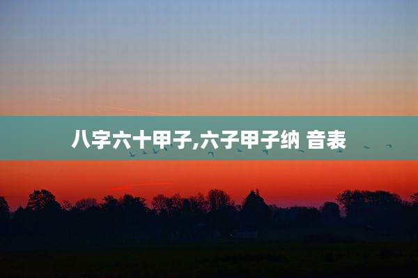 八字六十甲子,六子甲子纳 音表