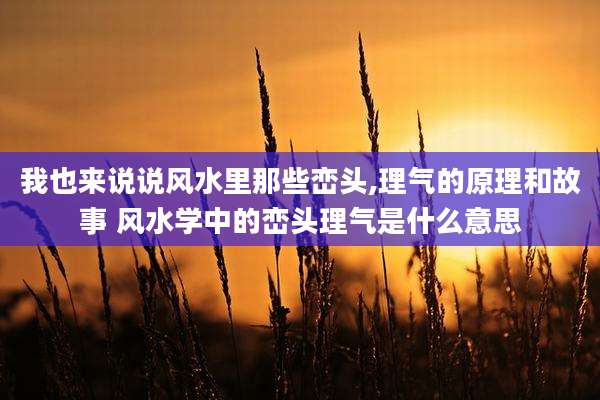 我也来说说风水里那些峦头,理气的原理和故事 风水学中的峦头理气是什么意思