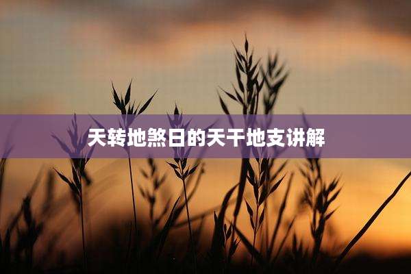 天转地煞日的天干地支讲解