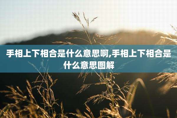 手相上下相合是什么意思啊,手相上下相合是什么意思图解
