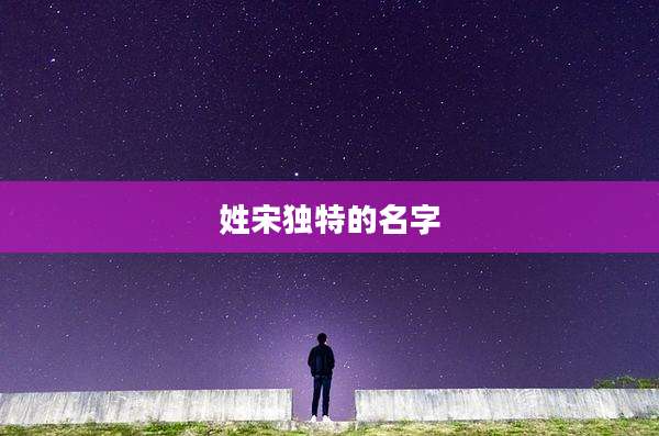 姓宋独特的名字