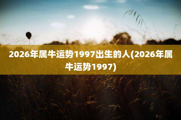 2026年属牛运势1997出生的人(2026年属牛运势1997)