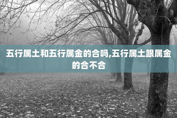 五行属土和五行属金的合吗,五行属土跟属金的合不合