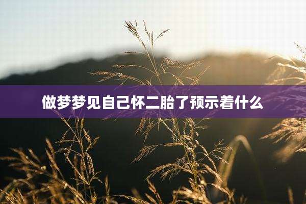 做梦梦见自己怀二胎了预示着什么