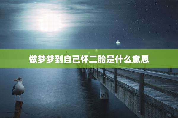 做梦梦到自己怀二胎是什么意思
