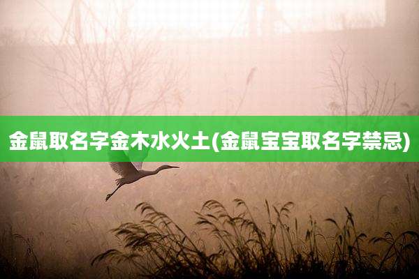 金鼠取名字金木水火土(金鼠宝宝取名字禁忌)