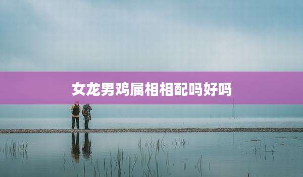 女龙男鸡属相相配吗好吗
