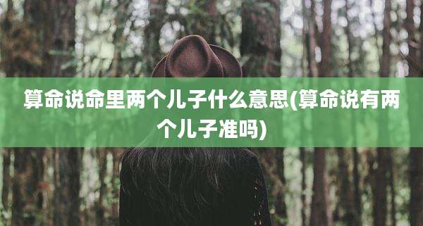 算命说命里两个儿子什么意思(算命说有两个儿子准吗)