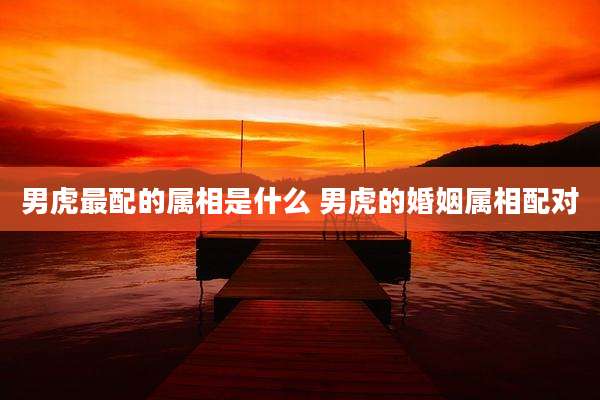 男虎最配的属相是什么 男虎的婚姻属相配对