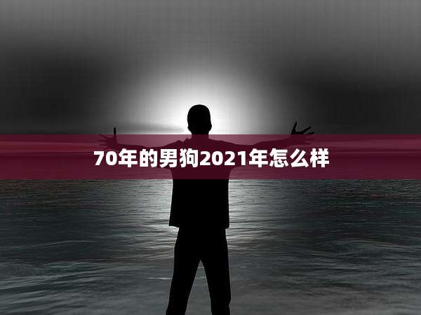 70年的男狗2021年怎么样