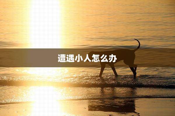 遭遇小人怎么办